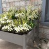 Outsunny 2 Tier Raised Garden Bed, Elevated Wooden 2 Box Planter , Gardening Grow Stand, Planting Bed for Flowers, Vegetables, Herb, Gray