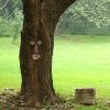 Resin Old Man Tree Hugger Bark Ghost Face Decoration Funny Tree Face Décor For Outdoor Yard Easter