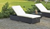Protivin Reclining Chaise Lounge with Cushion