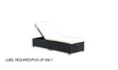 Protivin Reclining Chaise Lounge with Cushion